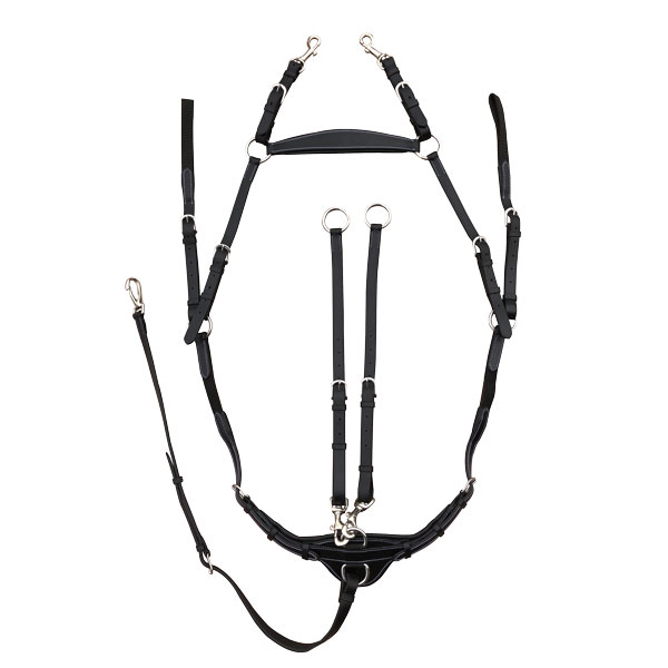 Ergonomic Hackamore Bridle - Pariani Boutique