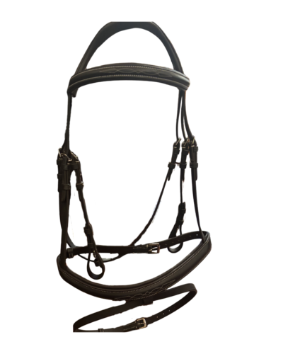 Briglia Fancy c/redini
